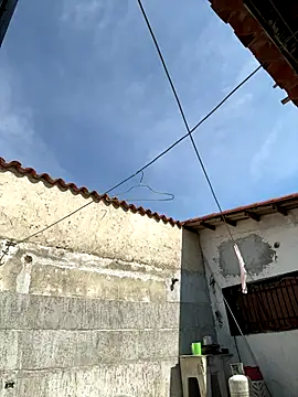 Leo bunny hot online show from 10-02-25, 06:48