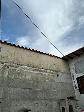 Leo bunny hot online show from 10-05-25, 07:23