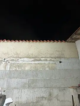 Leo bunny hot online show from 01-10-26, 02:24