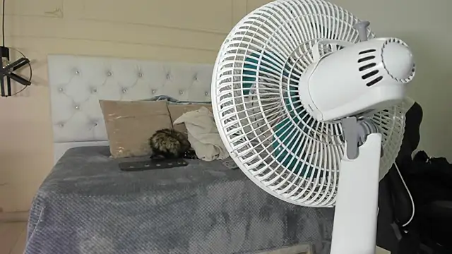 Slut Milf  online show from 01-23-25, 10:44