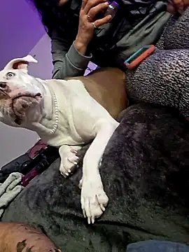 Snapshot of Jokergotherwett chatting on 03-03-26, 08:09 Jokergotherwett online show from 03-03-26, 08:09