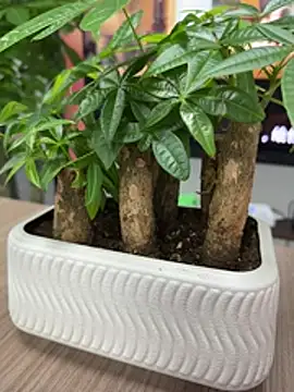 wiktor1980 online show from 04-28-26, 06:51