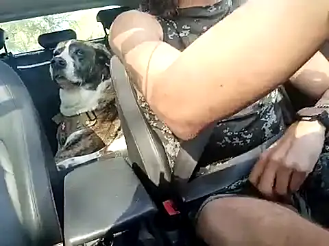 FRANKY nycc1978 online show from 10-10-25, 09:30