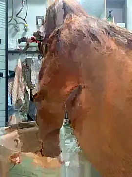 Aimeil online show from 11-18-25, 03:27