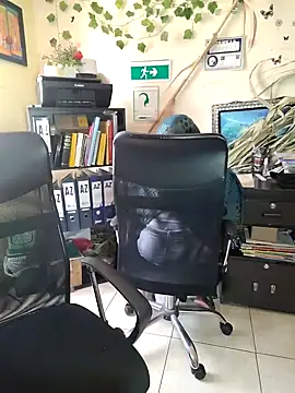 Snapshot of NAJWA-ARAB chatting on 01-15-25, 02:24 NAJWA-ARAB online show from 01-15-25, 02:24