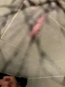 lescro95  online show from 12-02-25, 05:41