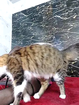 crislingery dolli online show from 10-12-25, 01:43