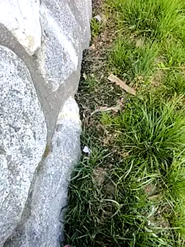 Snapshot of DrownMentallyyy chatting on 03-22-25, 12:35 DrownMentallyyy online show from 03-22-25, 12:35