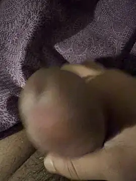 Snapshot of BigAddress0 chatting on 02-23-26, 02:42 BigAddress0 online show from 02-23-26, 02:42