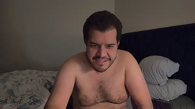 bearcloudcomputa online show from 12-06-24, 01:29