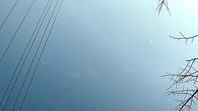 Snapshot of QianF-666 chatting on 02-13-25, 09:30 QianF-666 online show from 02-13-25, 09:30