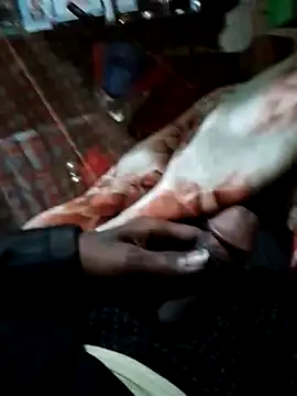 Snapshot of Antor1234 chatting on 12-15-24, 06:37 Antor1234 online show from 12-15-24, 06:37