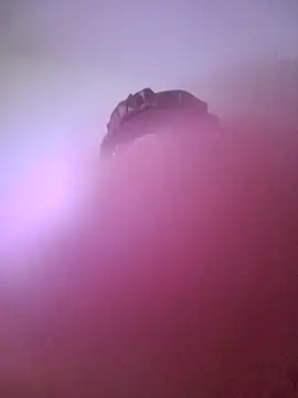 giuliana andrade online show from 01-22-25, 10:59