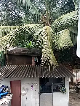 Rj   shan online show from 12-13-24, 10:51