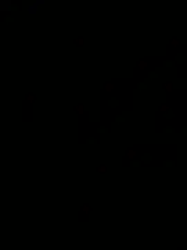 Snapshot of Jan_berger chatting on 12-31-24, 04:46 Jan berger online show from 12-31-24, 04:46