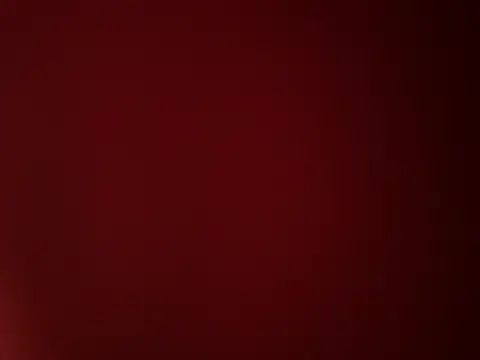 Snapshot of Jan_berger chatting on 03-20-25, 09:24 Jan berger online show from 03-20-25, 09:24