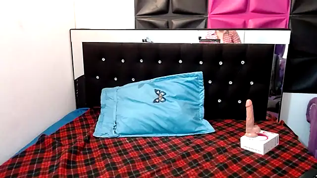 Snapshot of ScarletGlow1 chatting on 01-29-25, 02:53 ScarletGlow1 online show from 01-29-25, 02:53