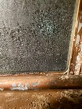 Snapshot of alienbunny chatting on 01-11-25, 05:52 alienbunny online show from 01-11-25, 05:52