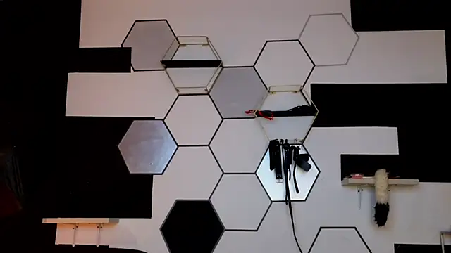 haileycat online show from 02-14-25, 03:33