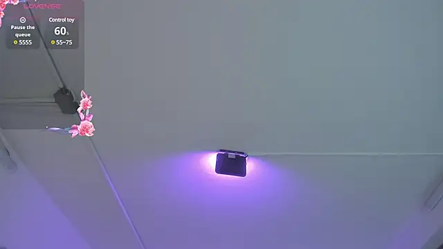 Meelanny ds online show from 12-20-24, 04:42