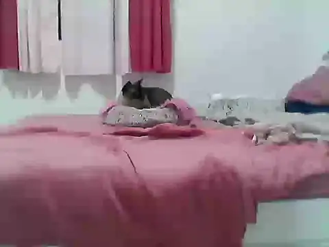 Snapshot of kslmi_au-sts chatting on 09-13-25, 11:04 kslmi au-sts online show from 09-13-25, 11:04