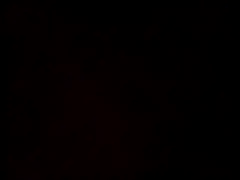 linksjack1010 online show from 02-23-25, 06:34