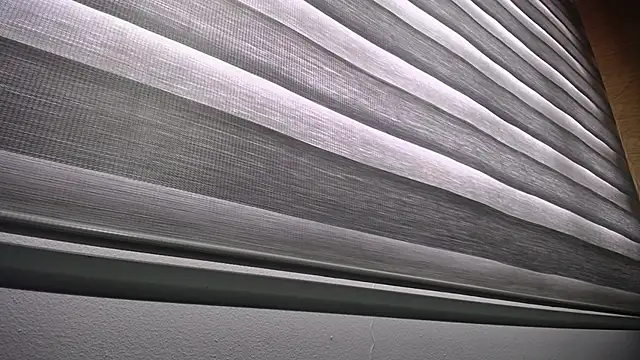 palmer mIix online show from 12-23-24, 01:03