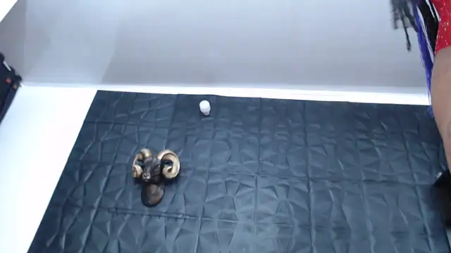 Hanna Fox 69 online show from 03-15-25, 09:30