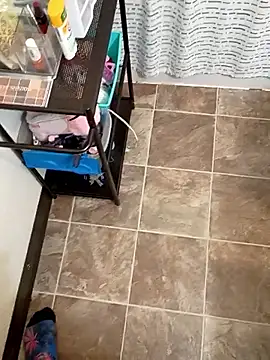 StellerCock online show from 02-05-26, 07:57