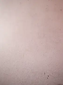 sana14 online show from 02-06-26, 05:12