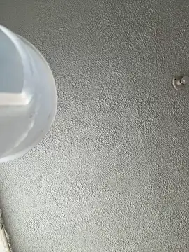 ariiel  online show from 01-14-26, 03:28