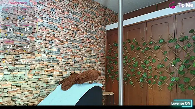 Snapshot of couple_lovelyds chatting on 12-02-25, 09:21 couple lovelyds online show from 12-02-25, 09:21