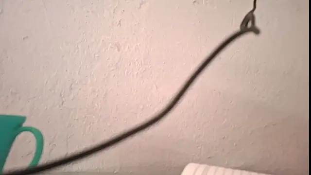 yazforeSolo online show from 10-05-25, 09:24