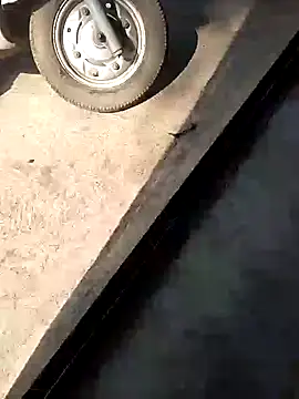 PracticalGum40 online show from 12-10-24, 07:58