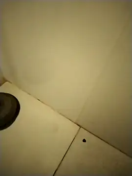 PracticalGum40 online show from 12-12-24, 01:39