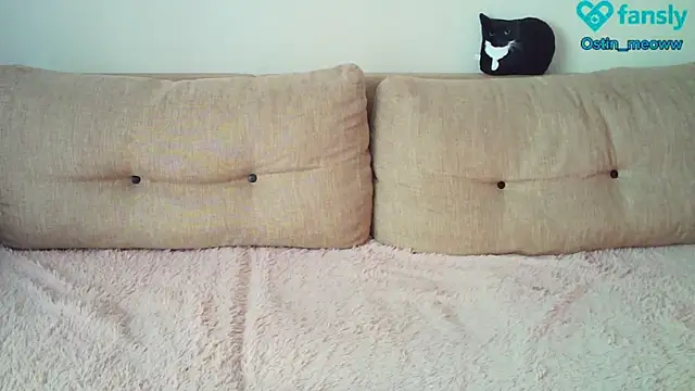 Ostin meow online show from 02-20-25, 06:39