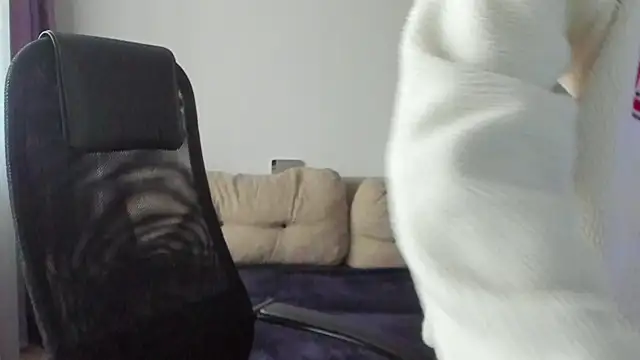 Ostin meow online show from 11-07-25, 07:08