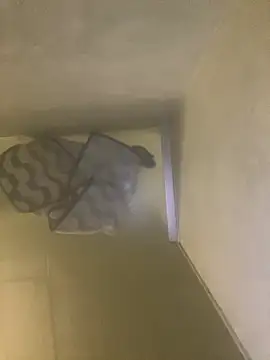 Snapshot of Tommy_y_Pamela chatting on 02-17-26, 03:25 Tommy y Pamela online show from 02-17-26, 03:25