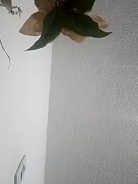 Naomy veracruz  online show from 04-12-26, 11:04