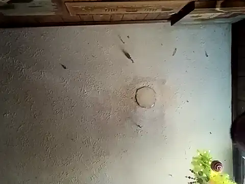 Snapshot of realoneNocap chatting on 11-12-25, 05:57 realoneNocap online show from 11-12-25, 05:57