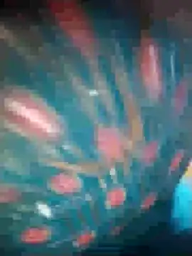 Snapshot of Ruby_Sc chatting on 12-08-24, 01:36 Ruby Sc online show from 12-08-24, 01:36