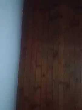 Snapshot of Darly_Gomez chatting on 02-18-25, 11:52 Darly Gomez online show from 02-18-25, 11:52