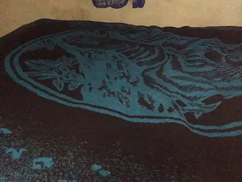 manuamador online show from 03-20-25, 04:18