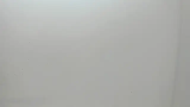 Flynn Riider online show from 03-01-25, 11:17