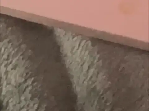 BCNguy1 online show from 01-16-26, 01:42