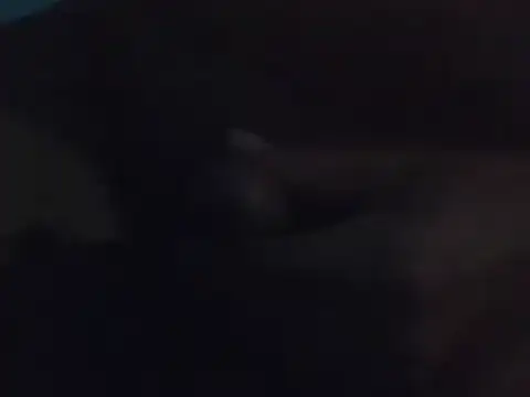 Penis58 online show from 12-15-24, 10:26