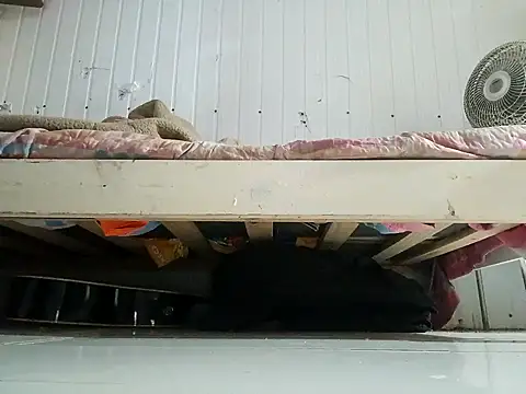 frotasso online show from 02-13-26, 11:01