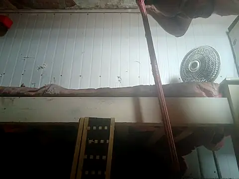 frotasso online show from 02-14-26, 02:25