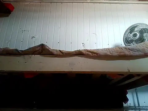 frotasso online show from 02-20-26, 03:23