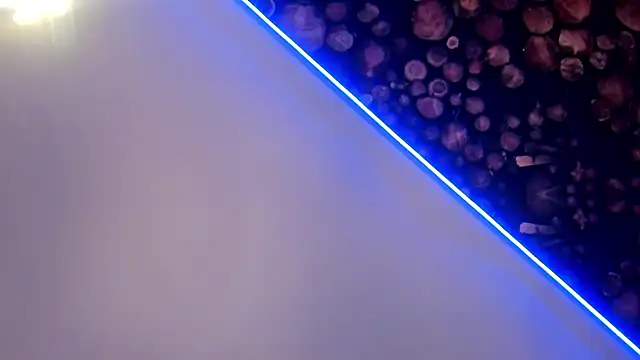 ArtemisaBlake online show from 03-22-25, 04:47